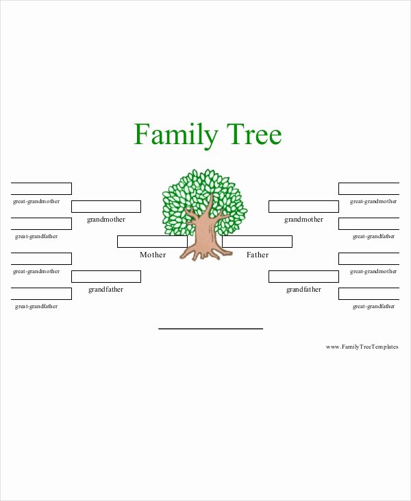 10 Generation Family Tree Best Of Family Tree Template 10 Free Psd Pdf Documents Download