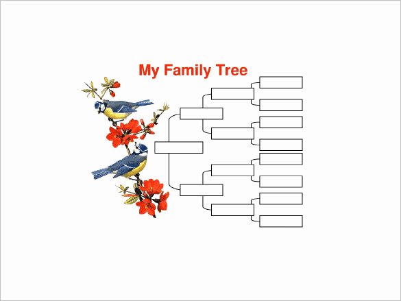 10 Generation Family Tree Inspirational 4 Generation Family Tree Template – 12 Free Sample Example format Download