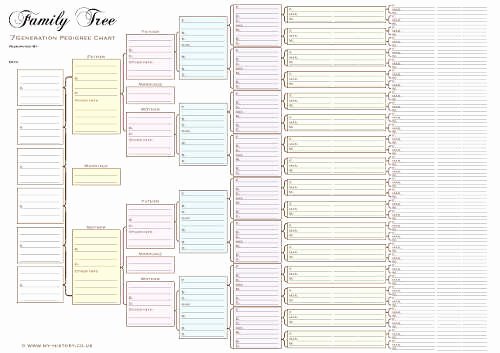 10 Generation Family Tree Inspirational A3 Six Generation Pedigree Chart