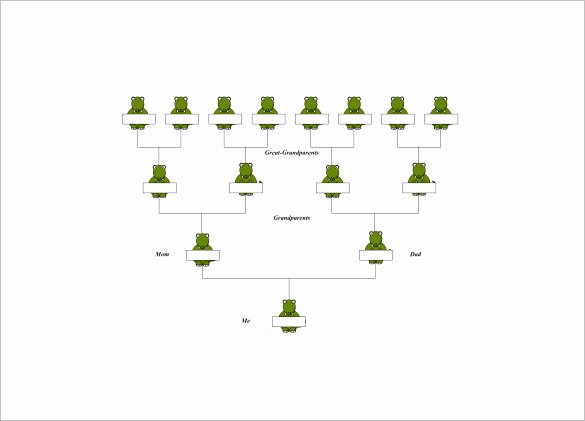 3 Generation Family Trees Awesome 4 Generation Family Tree Template – 12 Free Sample Example format Download