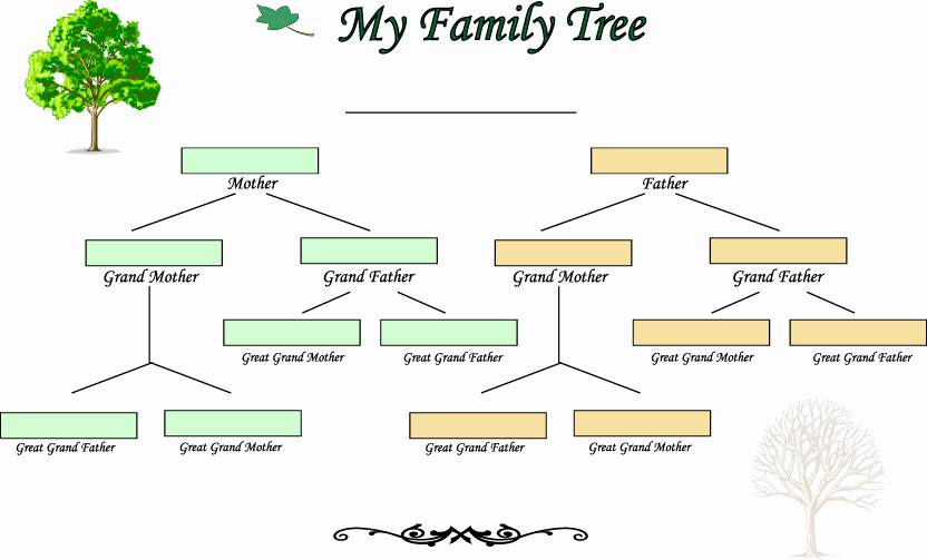 3 Generation Family Trees Lovely 27 Of French Family Tree Template