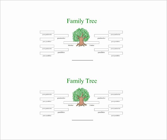 3 Generation Family Trees Lovely 4 Generation Family Tree Template – 12 Free Sample Example format Download