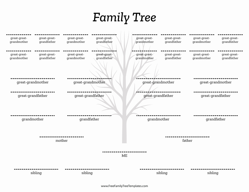 7 Generation Family Tree Template New 5 Generation Family Tree Siblings Template – Free Family Tree Templates