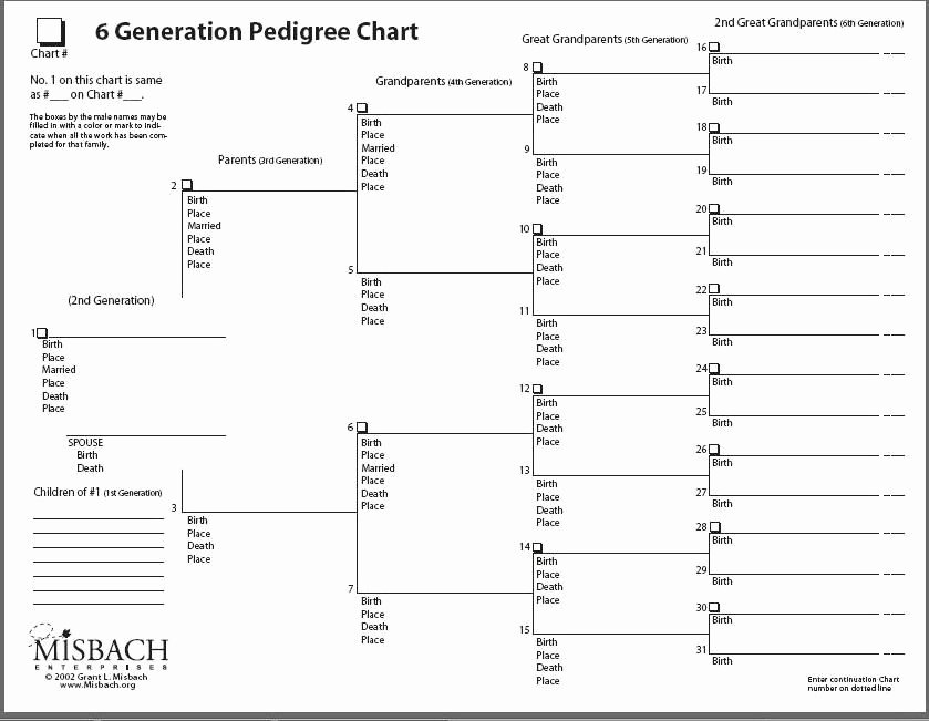7 Generation Family Tree Template New Ancestry Charts for Free to Print