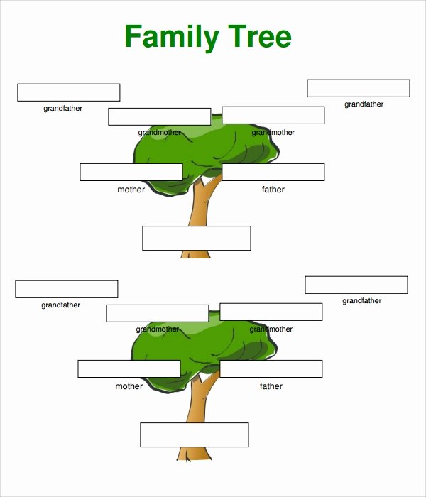 8 Generation Family Tree Template Elegant Sample 3 Generation Family Tree Template 6 Documents In