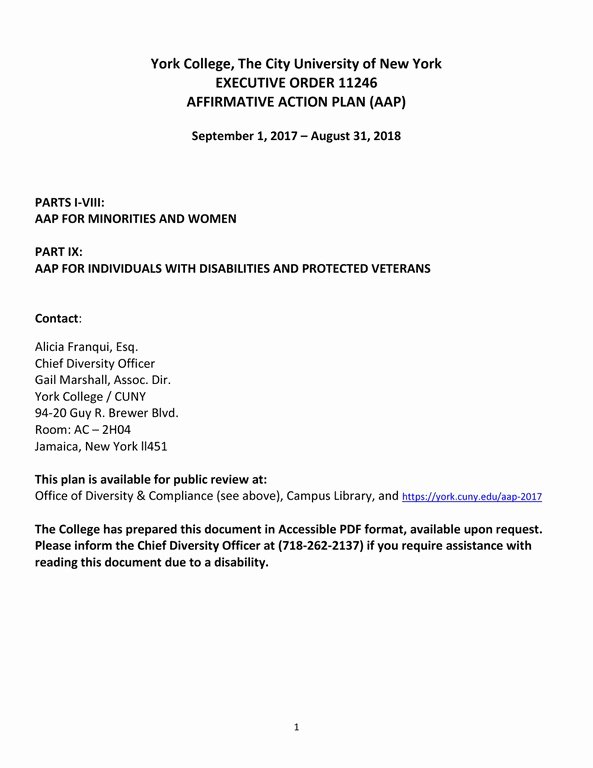Affirmative Action Plan Sample Fresh Affirmative Action Plan 2017 Narrative Ly — York
