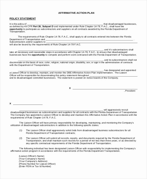 Affirmative Action Plan Template Lovely Sample Affirmative Action form 10 Free Documents In Pdf
