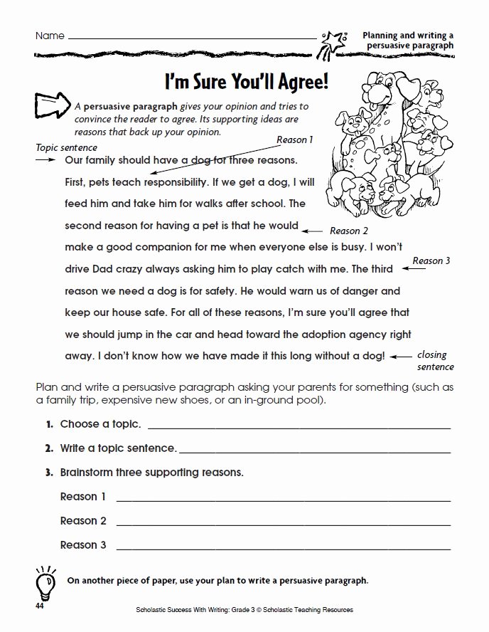 Argumentative Essay Planning Sheet Lovely Graphic organizers for Opinion Writing