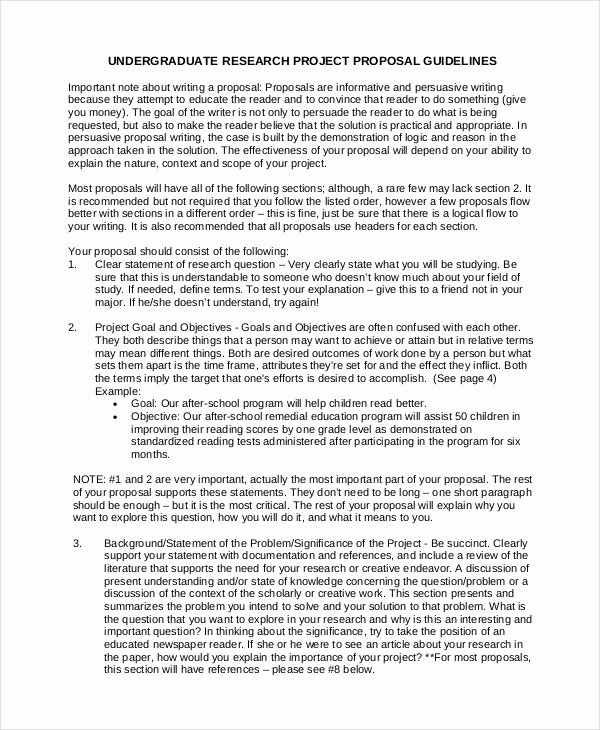 Art Project Proposal Example Pdf Unique Free 59 Proposal Examples In Pdf