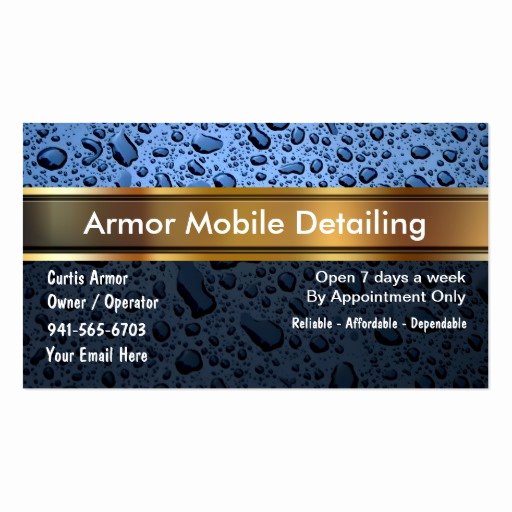 Auto Detailing Business Card Lovely Auto Detailing Business Cards