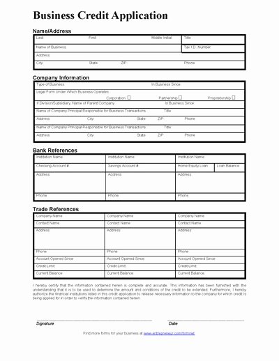 Automotive Credit Application form Fresh Free Printable Business Credit Application form form Generic