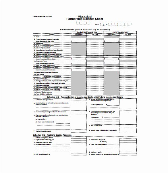 Balance Sheet Example Pdf Awesome Balance Sheet Templates 18 Free Word Excel Pdf Documents Download
