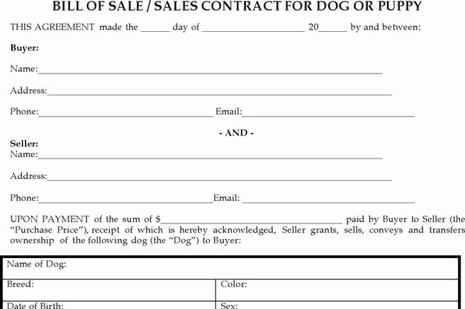 Bill Of Sale for Dog Elegant Bill Of Sale form