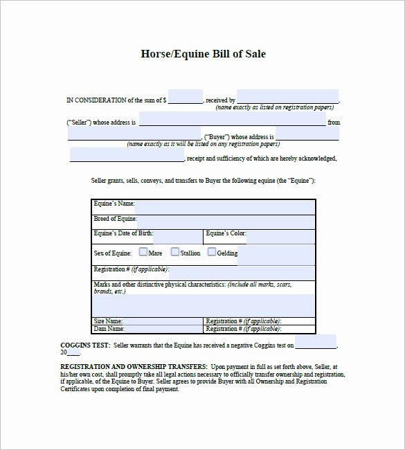 Bill Of Sale for Horse Luxury Horse Bill Of Sale – 8 Free Sample Example format Download