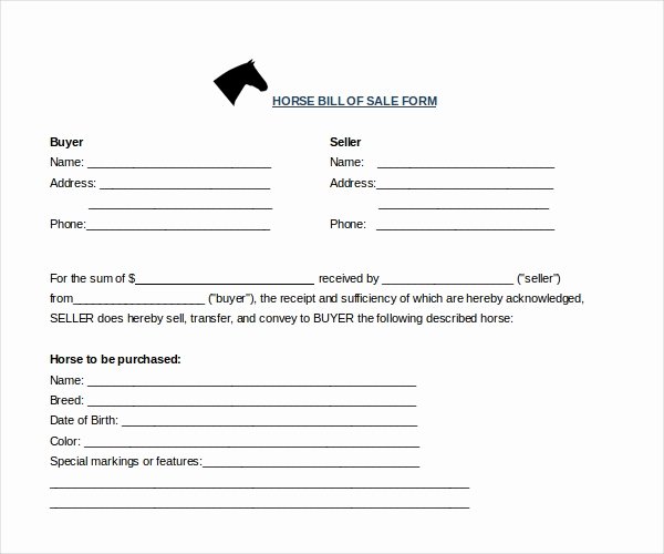Bill Of Sale for Horse New Free 7 Sample Horse Bill Of Sale forms In Pdf