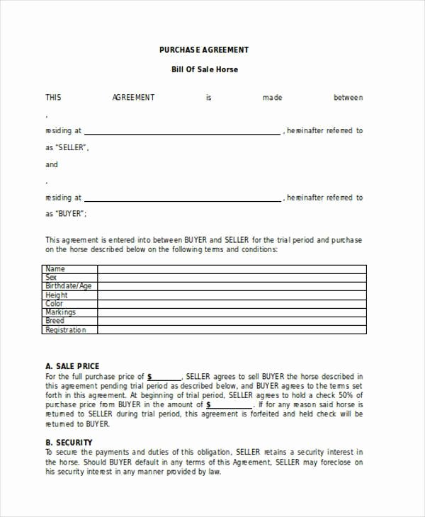 Bill Of Sale for Horses Awesome Free 36 Bill Of Sale forms In Word