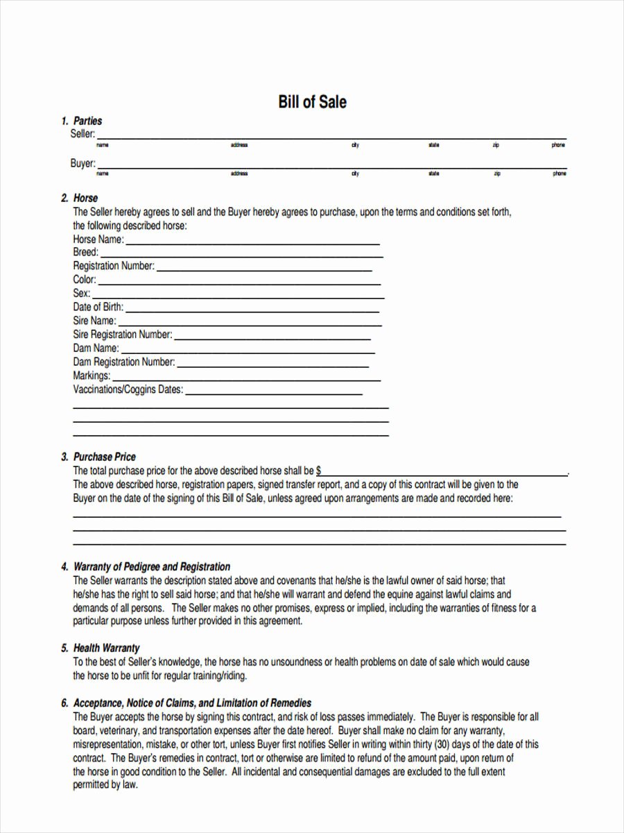 Bill Of Sale for Horses Best Of 6 Horse Bill Of Sale form Samples Free Sample Example format Download