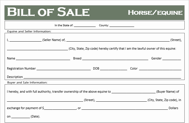 Bill Of Sale for Horses Luxury Free Horse Equine Bill Of Sale Template All States F Road Freedom