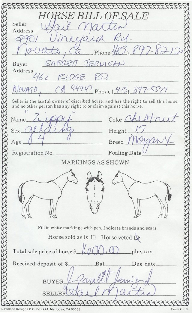 Bill Of Sale for Horses Luxury In the Begining