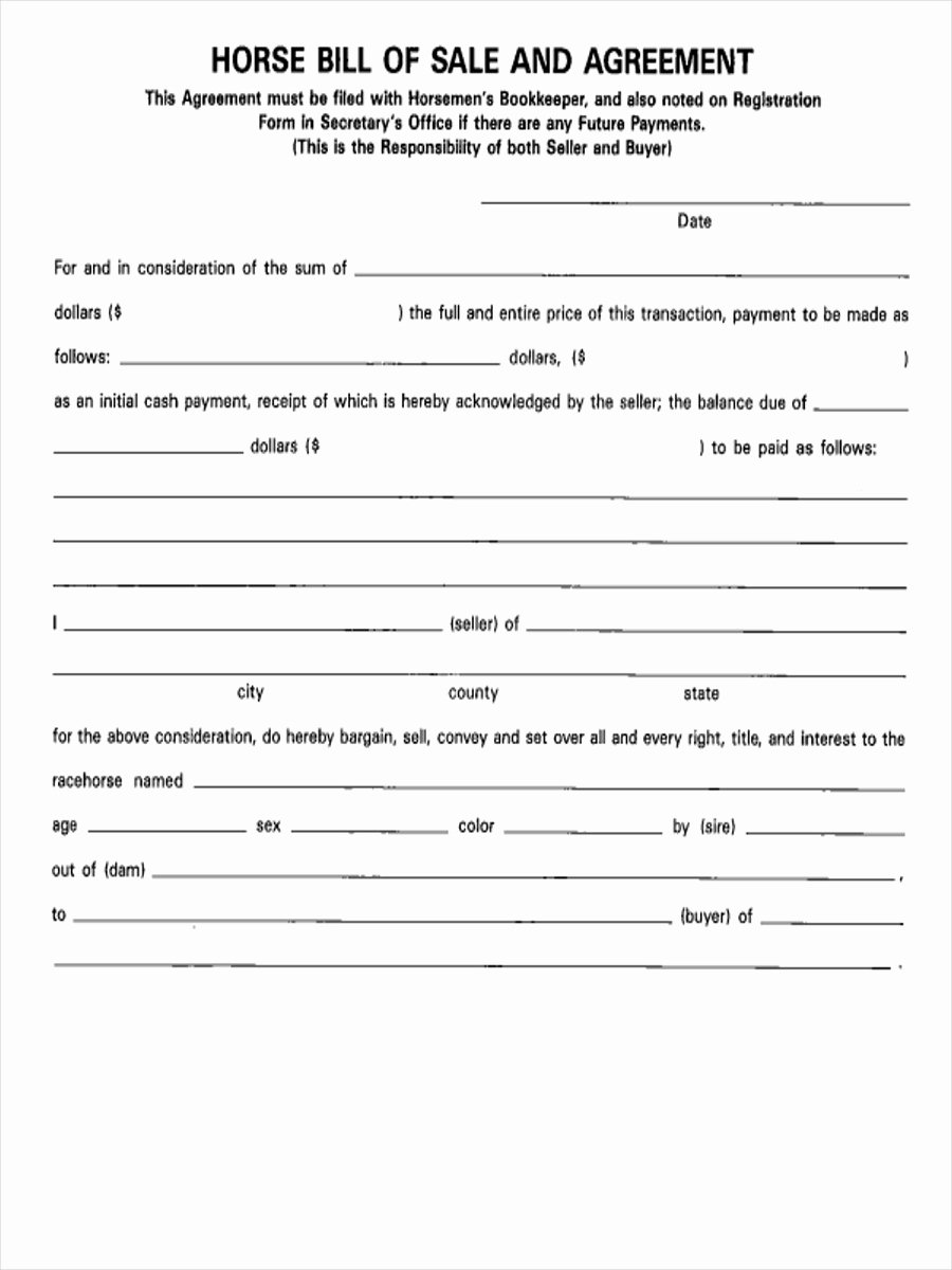 Bill Of Sale for Horses New Free 5 Horse Bill Of Sale forms In Samples Examples formats