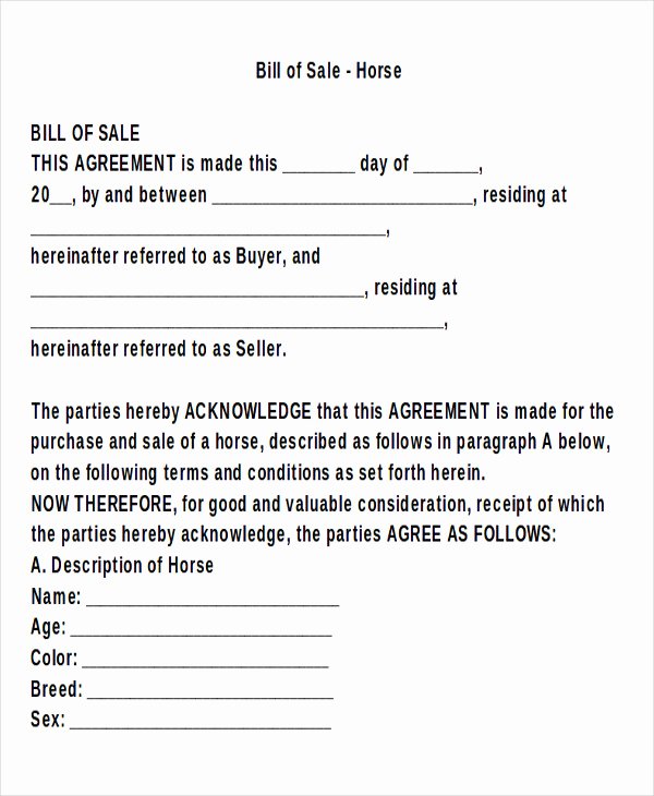 Bill Of Sale Horse Fresh 9 Horse Bill Of Sale Examples In Word Pdf