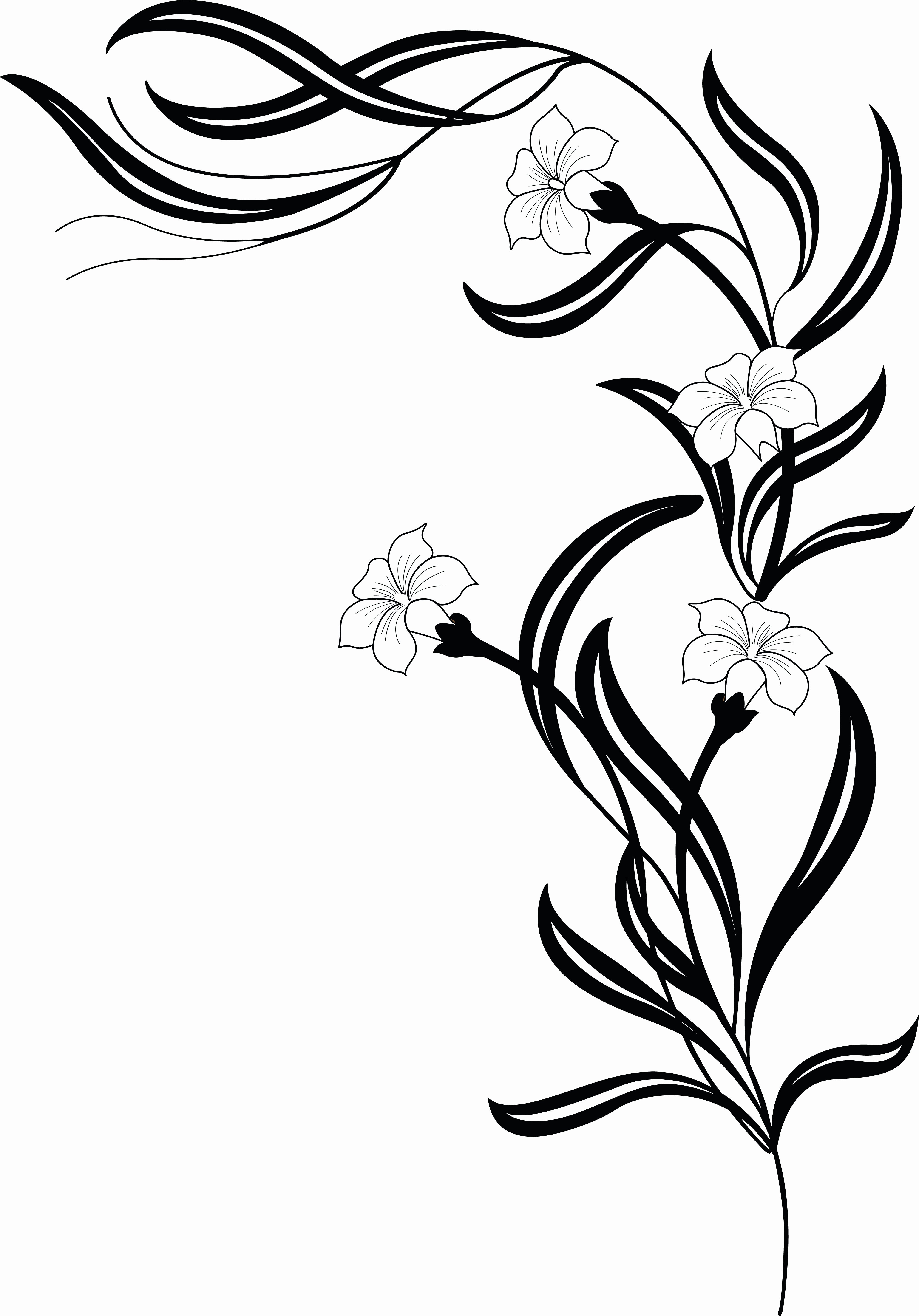 Black and White Flower Drawing New Free Clipart A Grayscale Floral Vine