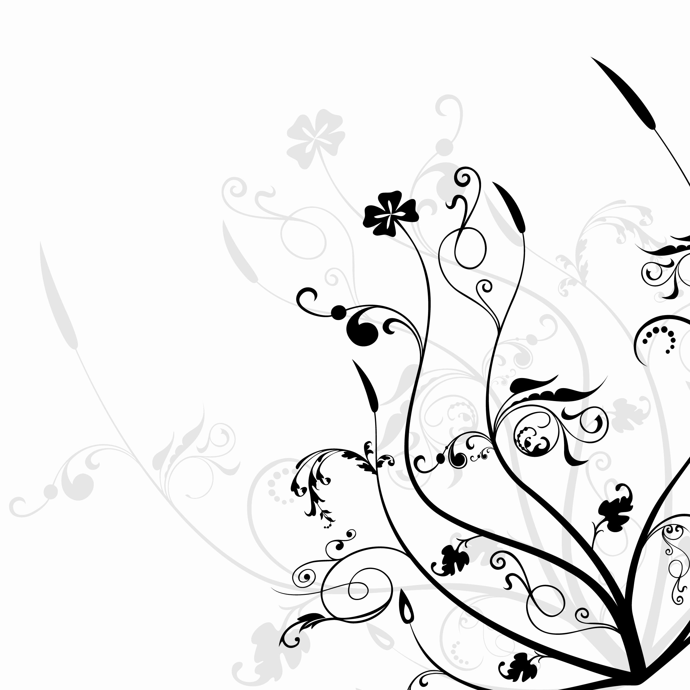 Black and White Flower Drawings Beautiful Black and White Flowers Wallpapers Hd
