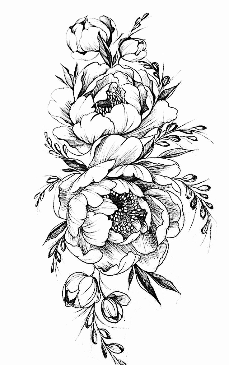 Black and White Flower Drawings New Pattern Flower Drawing with Colour Best 25 Flower Tattoo Designs Ideas Pinterest