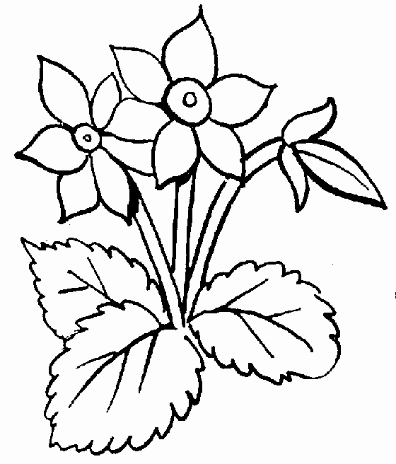Black and White Flower Drawings Unique Flower Clipart Black and White Clipartion