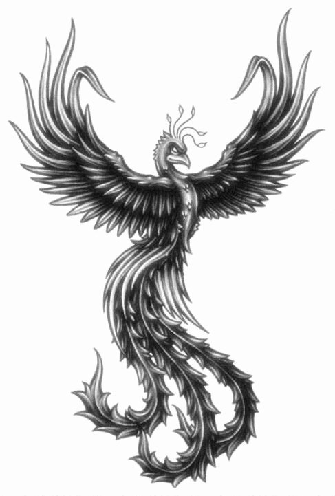 Black and White Phoenix Unique Phoenix Black and White Tattoos