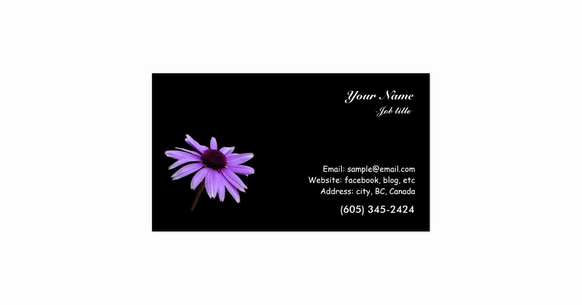 Black Business Card Background Best Of Purple Daisy Flower In Black Background Business Card