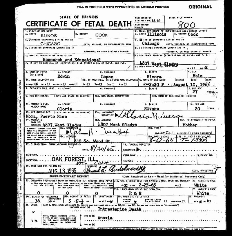 Blank Death Certificate Template Fresh 30 New Fetal Death Certificate Sa Pro Literacy