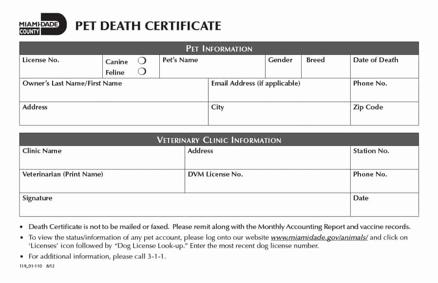 Blank Death Certificate Template Lovely 37 Blank Death Certificate Templates [ Free] Template Lab