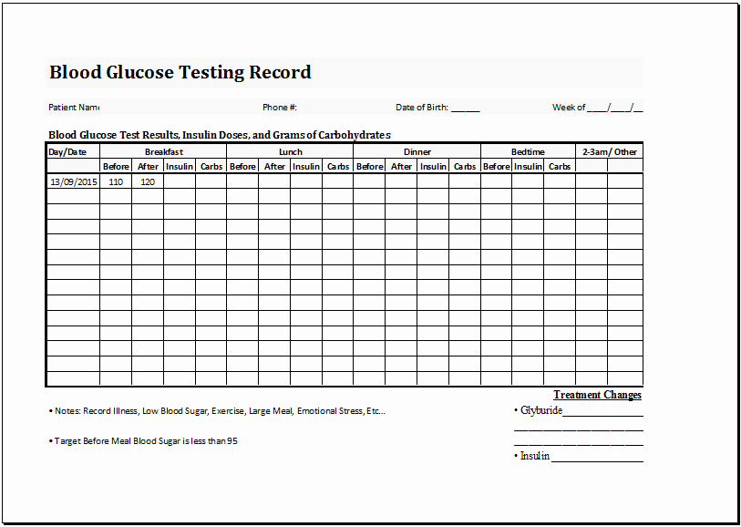 Blood Sugar Log Excel New Blood Glucose Testing Record Sheet Template