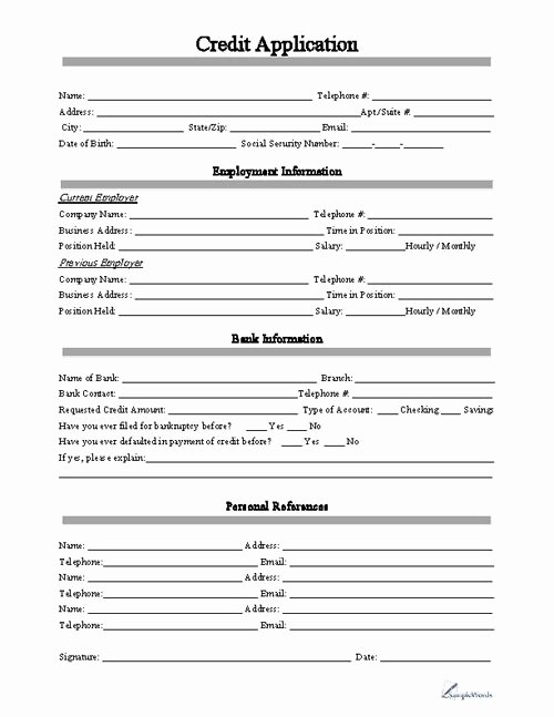 Business Credit Application Pdf Inspirational Free Printable Business Credit Application form form Generic