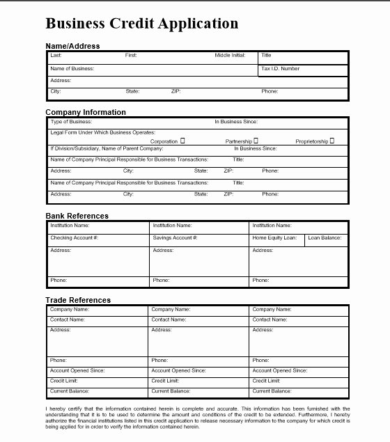 Business Credit Application Pdf Lovely 5 Professional Business Credit Application Template Word