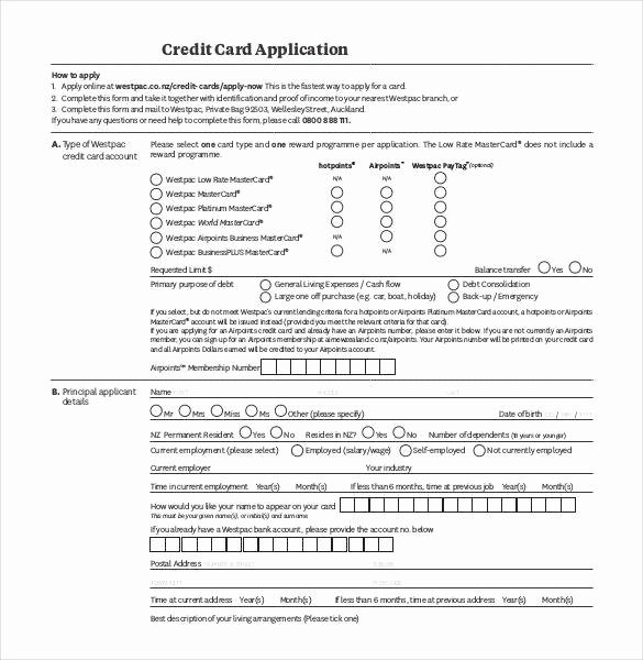 Business Credit Application Pdf Luxury Credit Application Template 33 Examples In Pdf Word