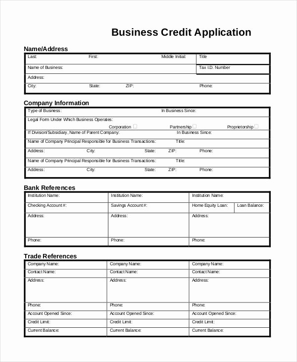 Business Credit Application Pdf New 33 Business Application Examples &amp; Samples