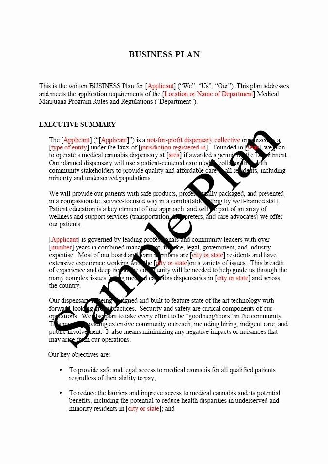 Business Proposal Example Pdf Lovely Sample Business Plan