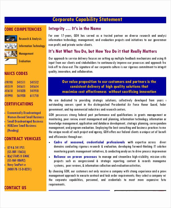 Capability Statement Template Doc Lovely Free 13 Capability Statement Examples &amp; Samples Doc Excel Pdf