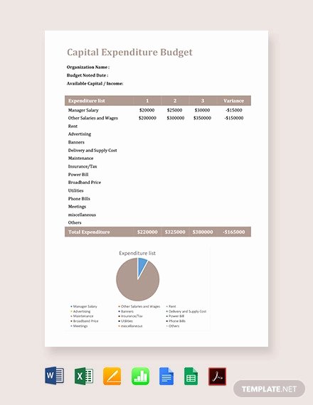 Capital Expenditure Budget Template Excel Luxury 10 Expenditure Bud Template Docs Excel Pdf