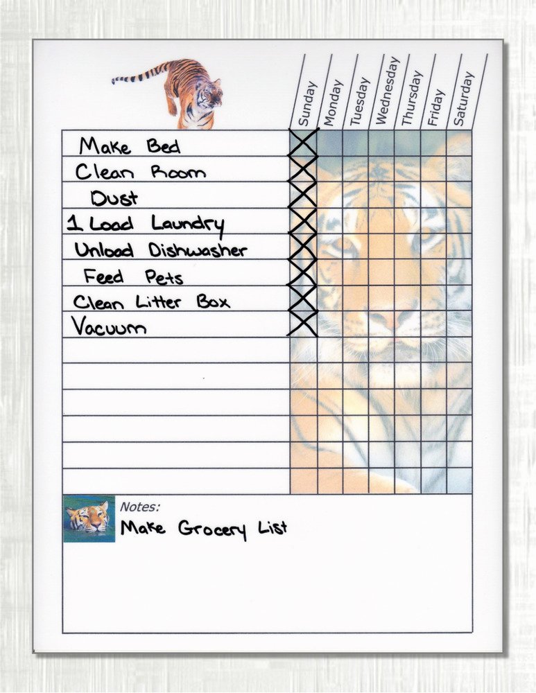 Chore Chart for Teens Awesome Teen Adult Weekly Chore Chart Works as Dry Erase Board Multiple themes Avail