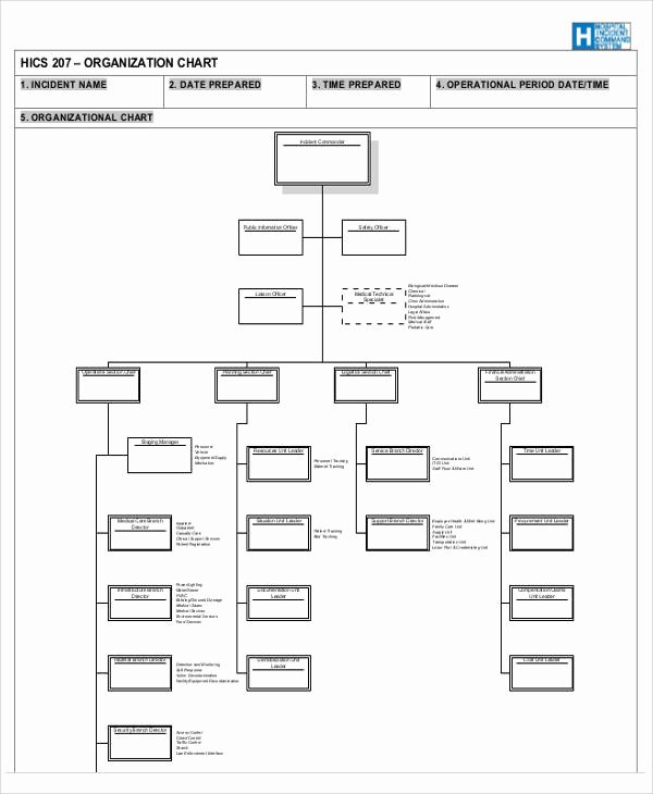Church organizational Chart Template Elegant 10 organizational Chart Templates Free Sample Example
