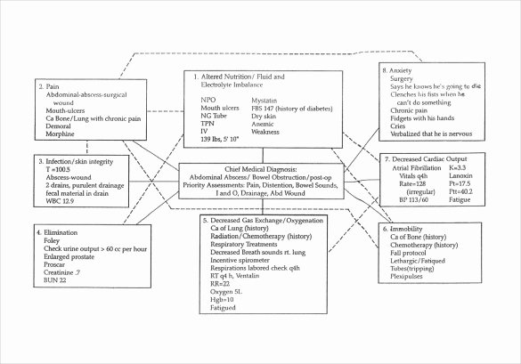 Concept Map Template Nursing New Free 10 Sample Concept Map Templates In Pdf