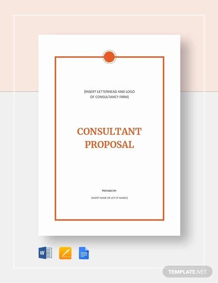 Consulting Proposal Sample Pdf Awesome Sample Consultant Proposal 11 Documents In Pdf Word