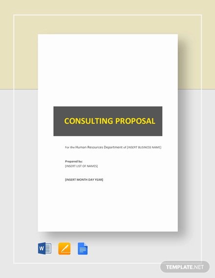 Consulting Proposal Sample Pdf Luxury Consulting Proposal Template 18 Free Word Pdf format Download