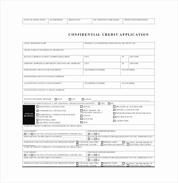 Consumer Credit Application form Lovely Credit Application Template 33 Examples In Pdf Word Google Docs Apple Pages