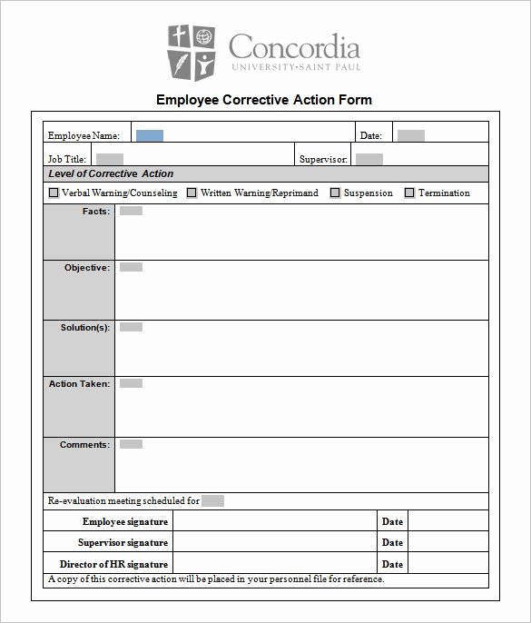 Corrective Action Plan Template Excel Lovely Corrective Action Plan Template