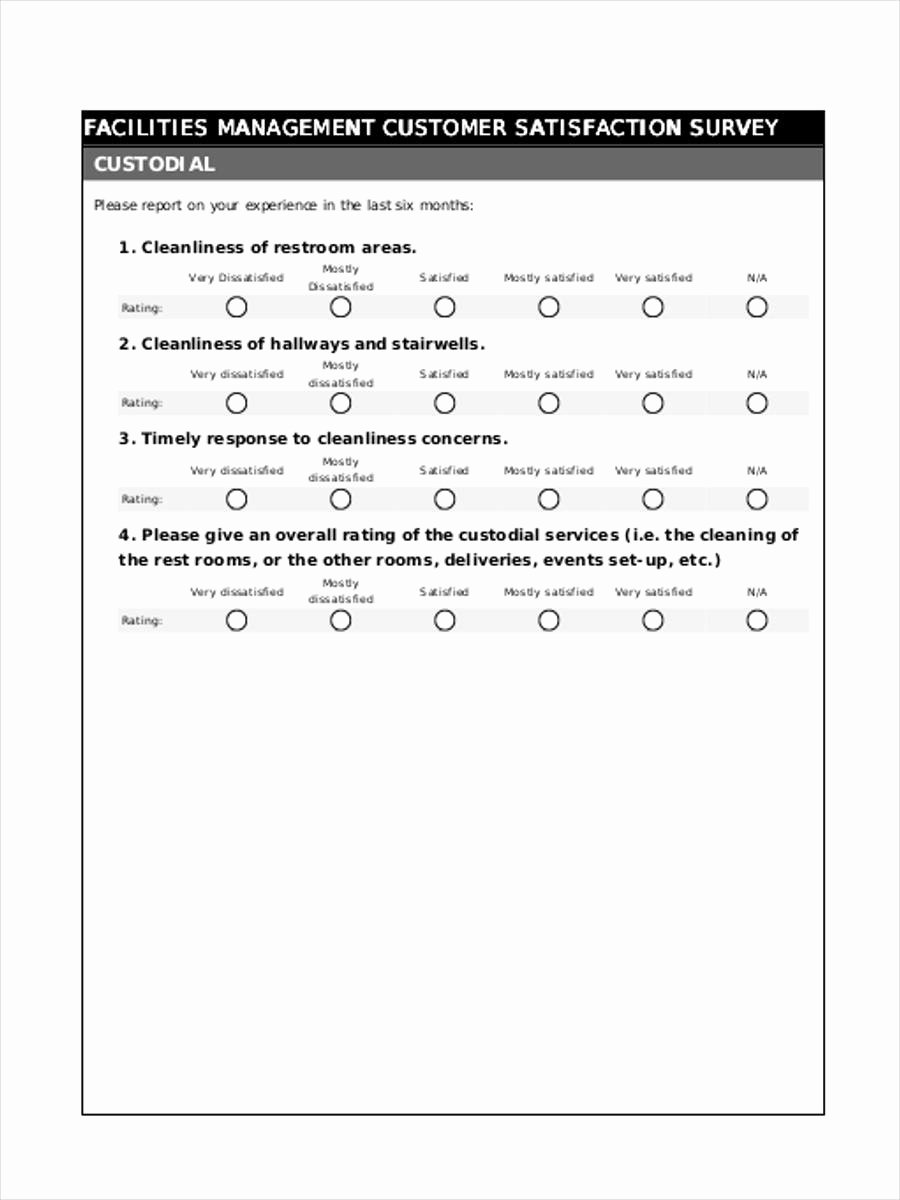 Customer Satisfaction Questionnaire Pdf Best Of Free 10 Sample Customer Questionnaire forms In Word