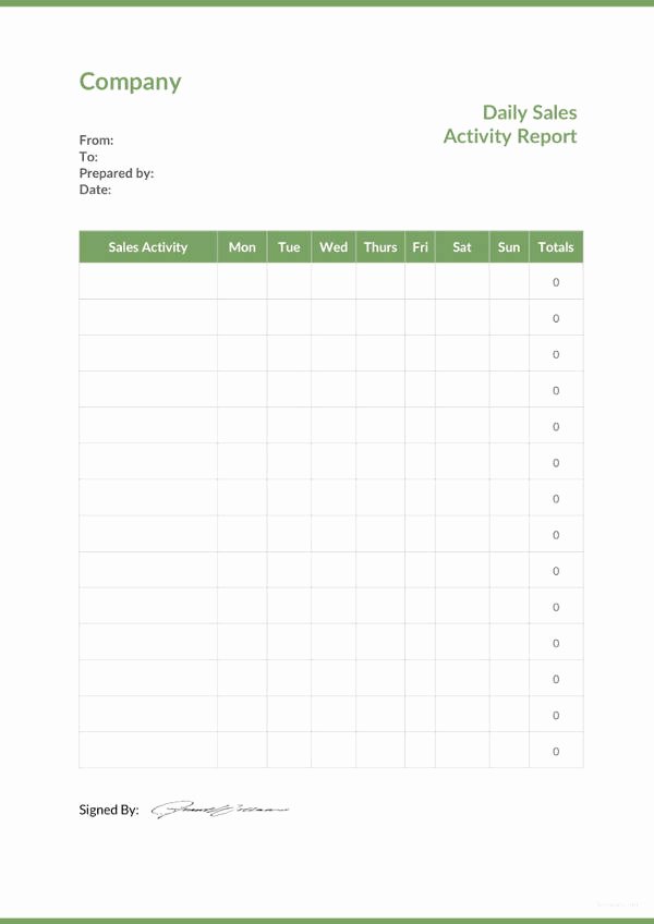 Daily Activity Report Template Luxury 30 Sales Report Templates Pdf Excel Word